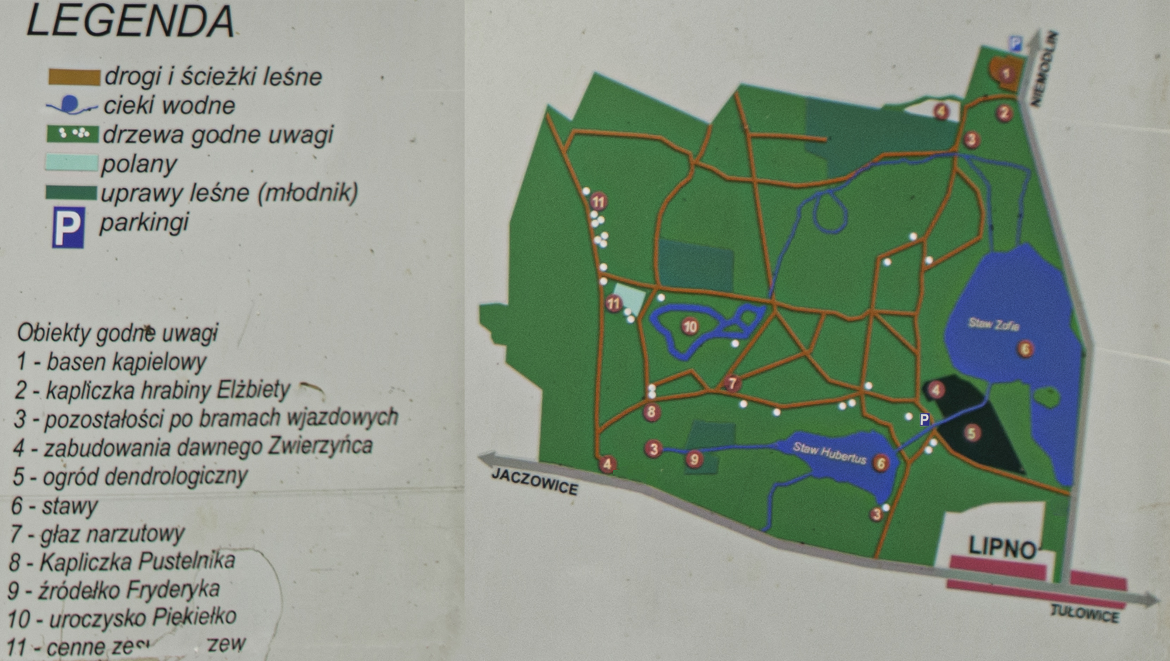 Arboretum w lipnie - mapa